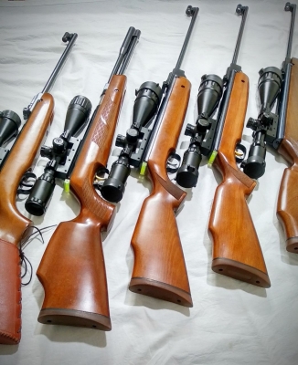  More Than 2k Airguns Were Surrendered To Arunachal For Shun Hunting By Minister-TeluguStop.com
