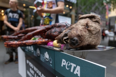  Peta Will ‘barbecue’ A Dog For Awareness-TeluguStop.com