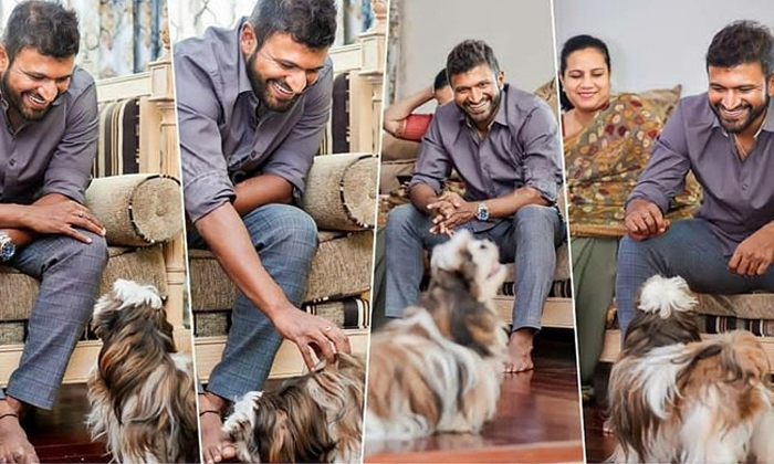 Telugu James, Kannada, Pet Dog, Puneeth, Puneethraj, Sushanthsingh-Movie