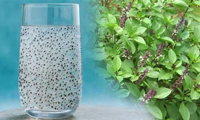  Seeds, Diet, Health Tips, Good Health, Health, Basil Seeds, Sunflower Seeds, Pu-TeluguStop.com