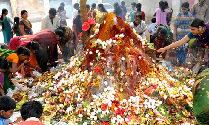 Telugu Kamika Ekadasi, Sravana Masam, Nagula Chavithi, Rakhi Pournami, Sravanama