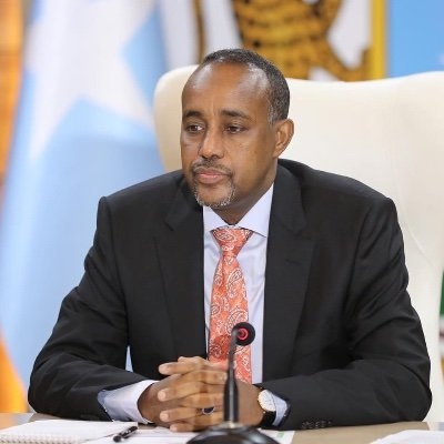  Somali Pm Appoints New Minister For Foreign Affairs-TeluguStop.com