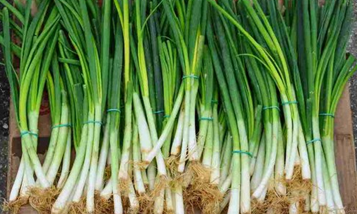  Wonderful Benefits Of Spring Onion Soup! Health, Health Tips, Good Health, Benef-TeluguStop.com