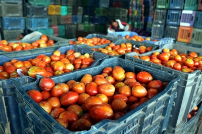  Tn Agri Dept Implements Rationing System For Tomato Sale In Coimbatore-TeluguStop.com