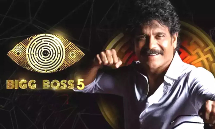  Who Is The Final 5 After Vishwa Elimination In Bigg Boss Telugu Season 5 Details-TeluguStop.com