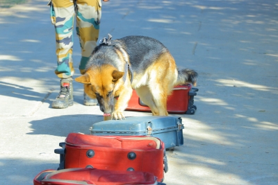  With 14 New’super Sniffers,’ The Wildlife Sniffer Dog Force Has Expa-TeluguStop.com