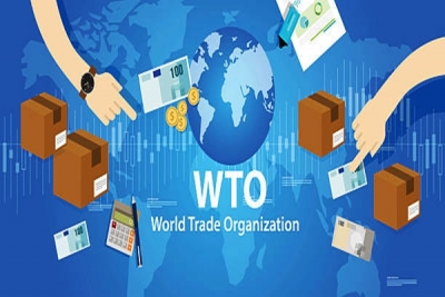  Wto Delays Mc12 Because Of New Covid Variant Surge And Travel Curbs-TeluguStop.com