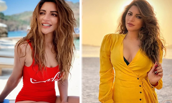 Actress Shama Sikander Melts Our Heart With These Images-telugu Actress Hot Spicy Photos Actress Shama Sikander Melts Ou High Resolution Photo