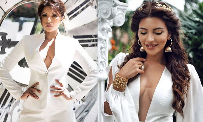 Actress Shama Sikander Looks Sizzling Hot In This Pictures-telugu Actress Hot Spicy Photos Actress Shama Sikander Looks High Resolution Photo
