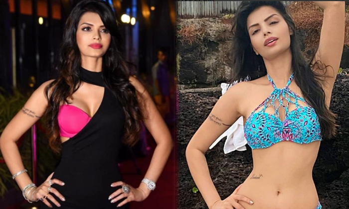 Actress Sonali Raut Is Too Hot To Handle In This Pictures-telugu Actress Hot Spicy Photos Actress Sonali Raut Is Too Hot High Resolution Photo
