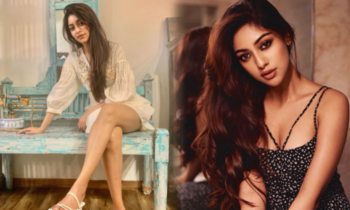 Bollywood Actress Anu Emmanuel Romantic Photoshoot-telugu Actress Photos Bollywood Actress Anu Emmanuel Romantic Photosh High Resolution Photo