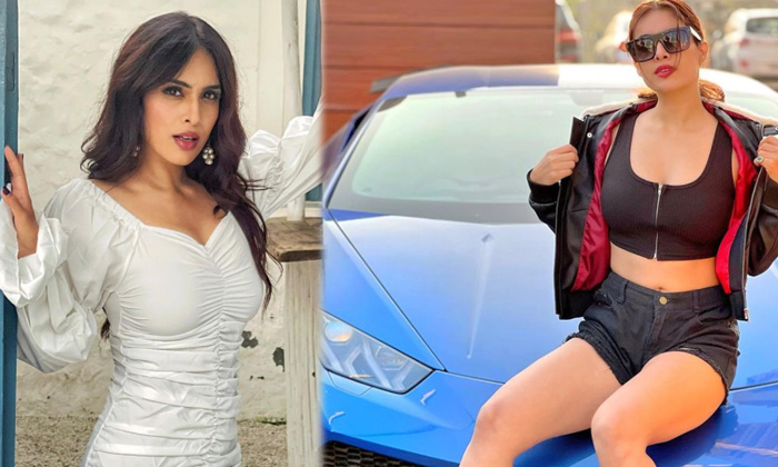 Bollywood Actress Neha Malik Looks Elegant In This Pictures  - Neha Malik Nehamalik Hot High Resolution Photo