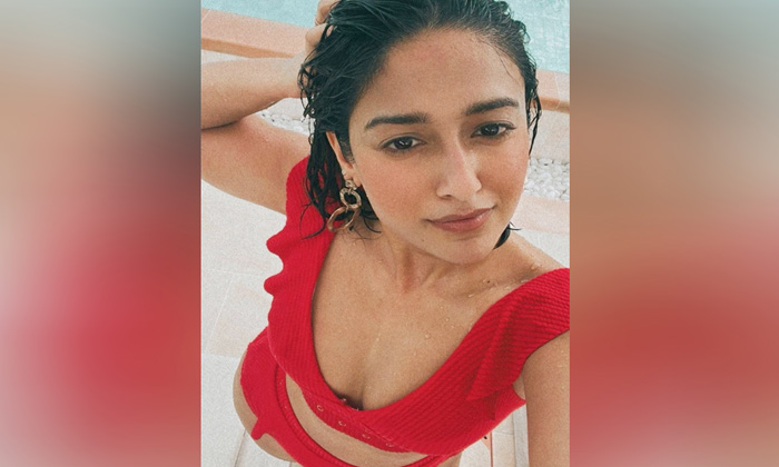  Ileana Red Bikini Show In Maldeves,latest News-TeluguStop.com