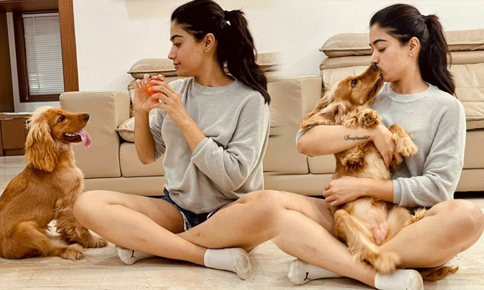  Rashmika Mandanna Kissed The Dog And Fan Are Feeling Jelouse, Rashmika Mandanna,-TeluguStop.com