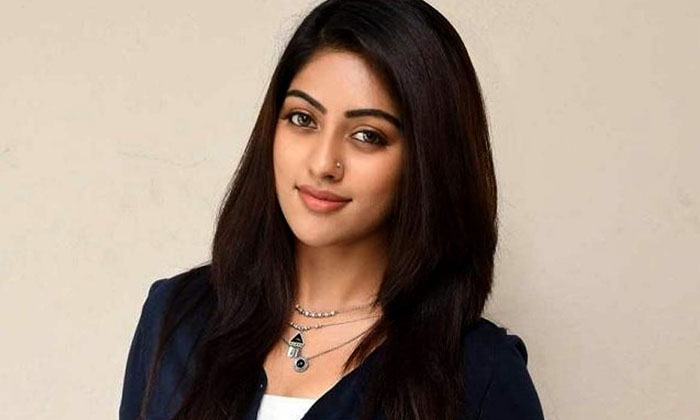 Telugu Anu Emmanuel, Anuemmanuel, Telugu Young, Teluguyoung, Tollywood-Movie