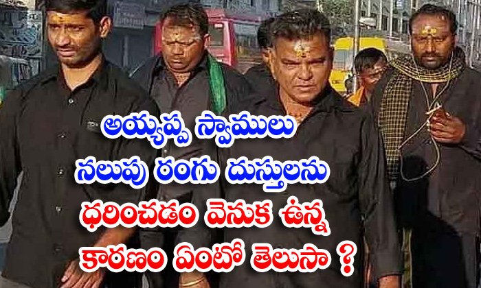  Do You Know The Reason Behind Ayyappa Swamy Wearing Black-TeluguStop.com