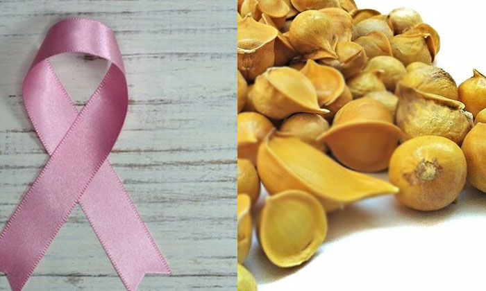  Himalayan Garlic Helps To Reduce Cancer Risk! Himalayan Garlic, Cancer Risk, Can-TeluguStop.com