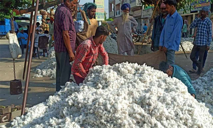  Farmer Filled Ration Rice In Cotton Bags To Get More Price Viral Details, Cotton-TeluguStop.com