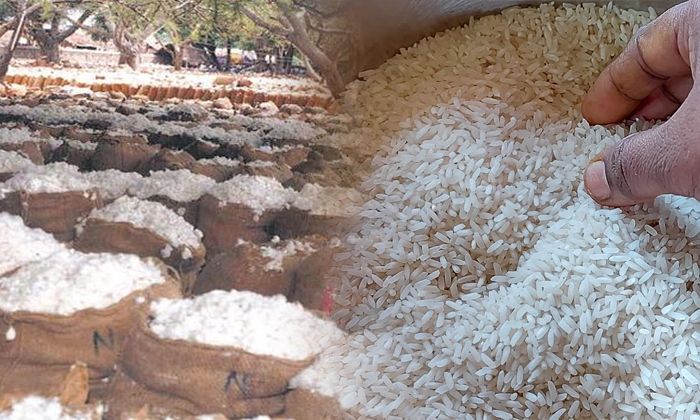 Telugu Cotton, Cotton Bags, Cotton Field, Filled, Ksamudram-Latest News - Telugu