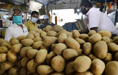  In A First, Pepsico’s Potato Patent Revoked By Indian Authority (ld)-TeluguStop.com