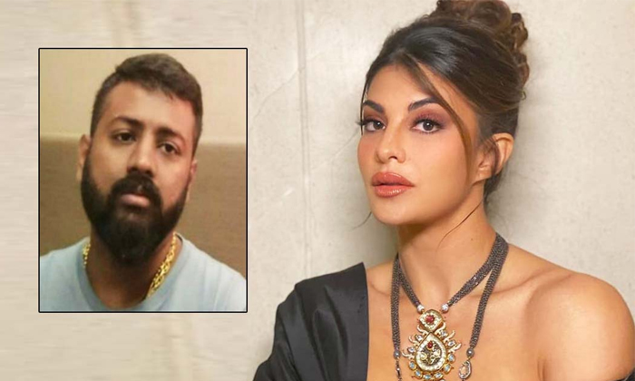  Jacqueline Fernandez Was Gifted Rs Nine Lakh Cat By Sukehsh Chandrasekhar Detail-TeluguStop.com