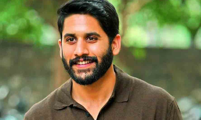  Naga Chaitanya Pro Kabaddi Brand Ambasidar , Chaitanya Telugu Titans, Kabaddi C-TeluguStop.com