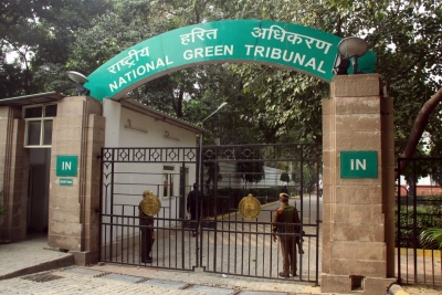  Ngt Disposes Of Plea On Encroachments In South Delhi Forest Lands-TeluguStop.com