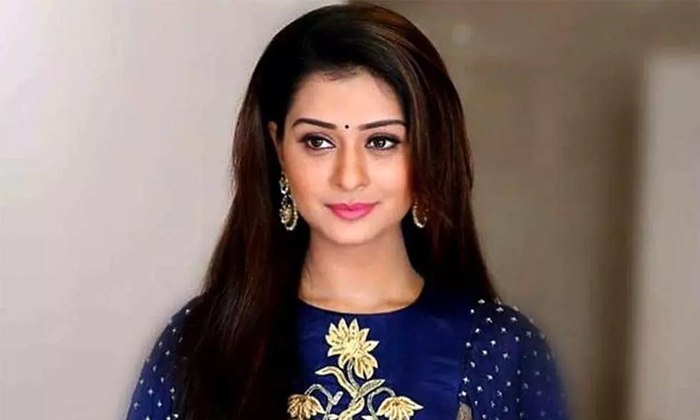 Telugu Netizens, Payal Rajput, Kind Heart, Payal Raj Put, Reacts, Tollywood, Tro