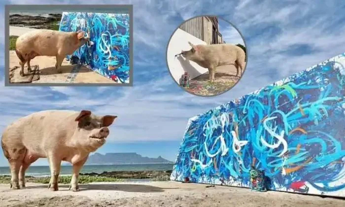  Viral: 20 Lakhs For A Pig Painting, Viral Latest, News Viral, Social Media, Pig,-TeluguStop.com