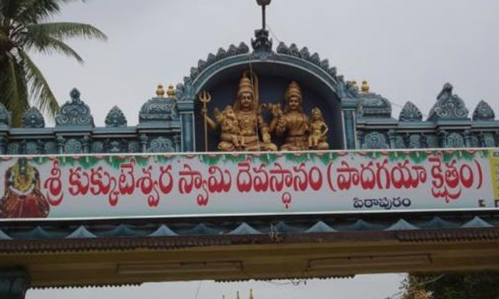  Devotees Won't Crack Coconut At Pithapuram Sri Vallabha Maha Samsthana Dhatha Sk-TeluguStop.com