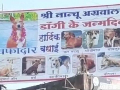  Madhya Pradesh’s Dog Gets His Moment-TeluguStop.com