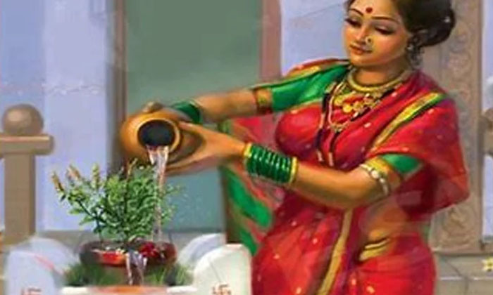  When We Worship Tulasi Use This Along With Water-తులసికి నీటితో పాటు వీటిని సమర్పిస్తే అంతా శుభమే-Latest News - Telugu-Telugu Tollywood Photo Image-TeluguStop.com