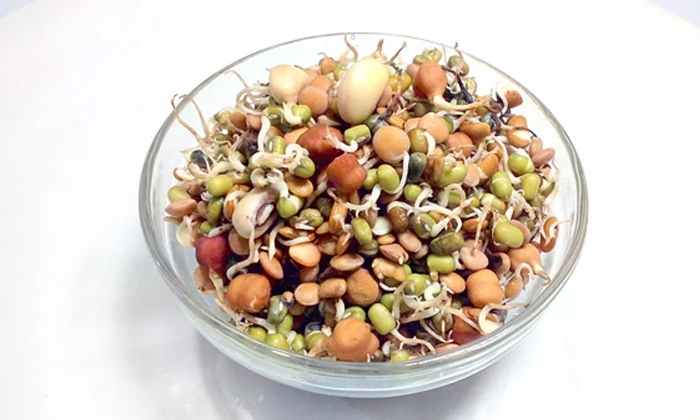Telugu Boil Eat, Brinjal, Cauliflower, Dont Eat, Mushrooms, Potato, Raw Vegetables, Sprouts, Telugu Tips, Vegetables-Telugu Health