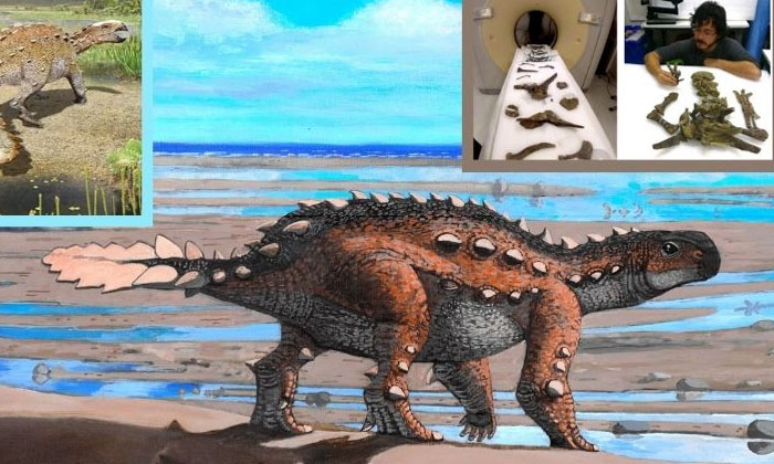  Scientists Have Discovered A New Species Of Dinosaur, The Great Danger. Dinosaur-TeluguStop.com