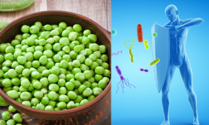  What Are The Health Benefits Of Eating Green Peas Details,  Green Peas, Healthy-TeluguStop.com