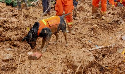 14 Killed In China Landslide 14 Killed In China Landslide-TeluguStop.com