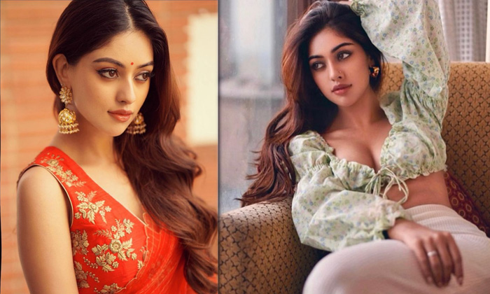 Actress Anu Emmanuel Melts Our Heart With These Pictures  - Anuemmanuel Actressanu Anu Emmanuel High Resolution Photo