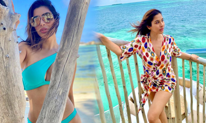 Actress Sophie Choudry Stands For Adorable Beauty-telugu Actress Photos Actress Sophie Choudry Stands For Adorable Beaut High Resolution Photo