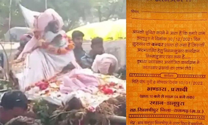  Grand Funeral For The Monkey In Madhya Pradesh Rajgadh Details, Monkey, Viral Ne-TeluguStop.com