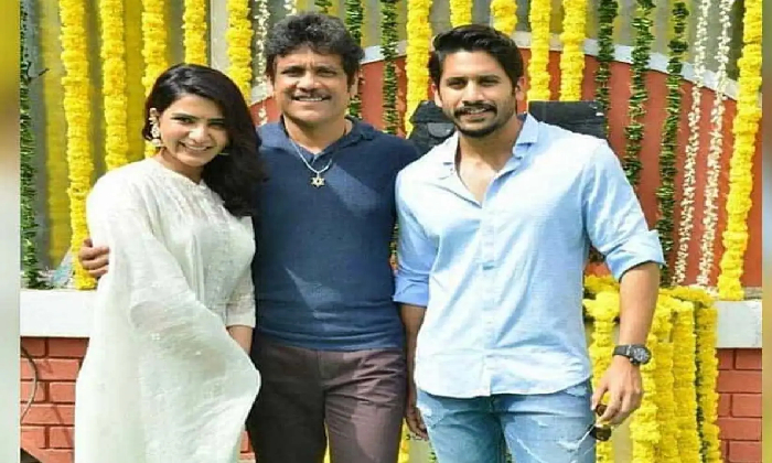  Nagarjuna Serious On Media Over Sam – Chai’s Divorce!-TeluguStop.com