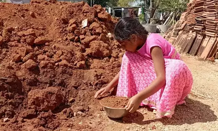  Planting 300 Plants On The Occasion Of Her Birthday  Ktr Congratulating The Girl-TeluguStop.com