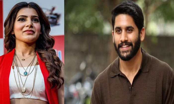  Samantha Fans Fire On Nagarjuna, Samantha, Naga Chaitanya, Nagarjuna, Samantha F-TeluguStop.com