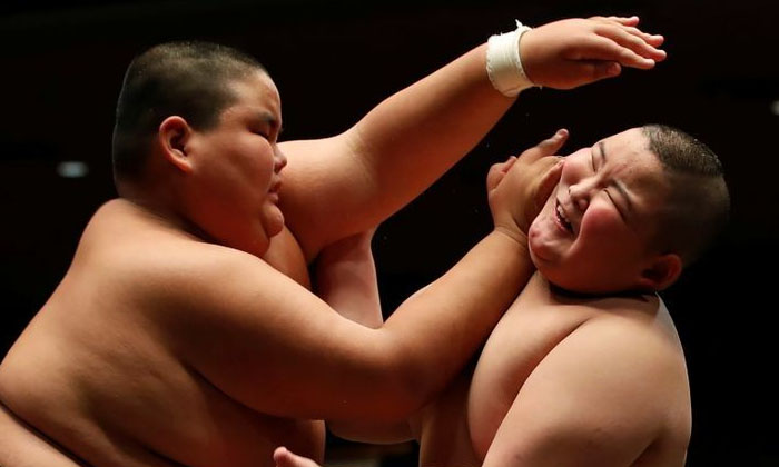  Why Fat-looking Sumo Wrestlers Get Diseases Like Heart Attack People Health Japa-TeluguStop.com