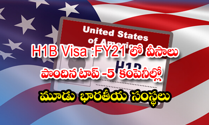  H1b Visa : Fy21లో వీసాలు పొందిన టాప్-5 కంపెనీల్లో మూడు భారతీయ సంస్థలు-TeluguStop.com