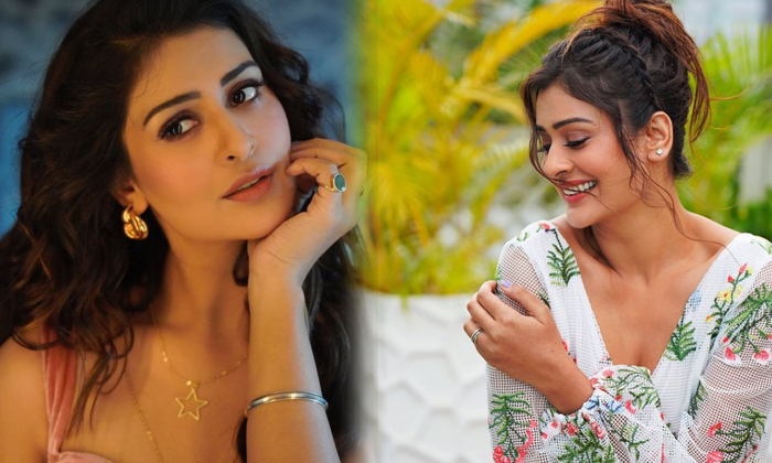 Tollywood Beauty Payal Rajput Hearts Racing With Her Sizzling Images-telugu Actress Hot Photos Tollywood Beauty Payal Ra High Resolution Photo