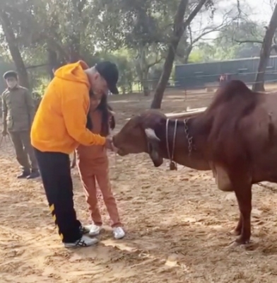  Akshay Kumar On Family Holiday In Ranthambore Tiger Park #akshay #kumar-TeluguStop.com