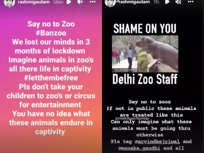  Anchor Rashmi Gautam Fires On Zoo Employee, Rashmi Gautham , Zoo Employee, Socia-TeluguStop.com