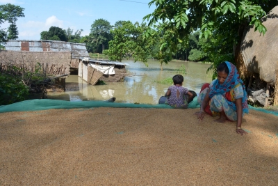  Assam To Change Middlemen System Causing Loss To Rice Farmers: Cm #assam #middle-TeluguStop.com