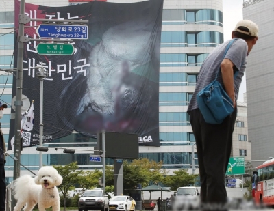  Bill Calling For Dog Meat Consumption Ban Proposed At Seoul City Council #meat #-TeluguStop.com