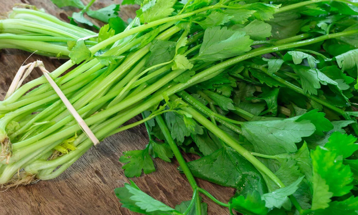  Wonderful Health Benefits Of Coriander Stalks! Health, Benefits Of Coriander Sta-TeluguStop.com